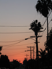 Equinox Sunset with Palms