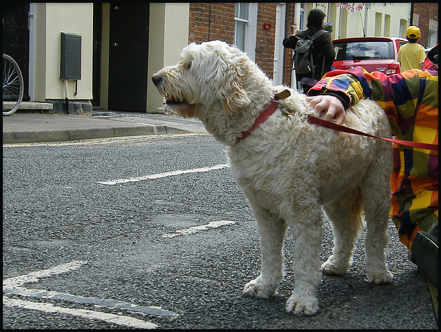 Elsie at the street fair