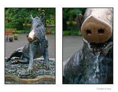 Boar fountain diptych