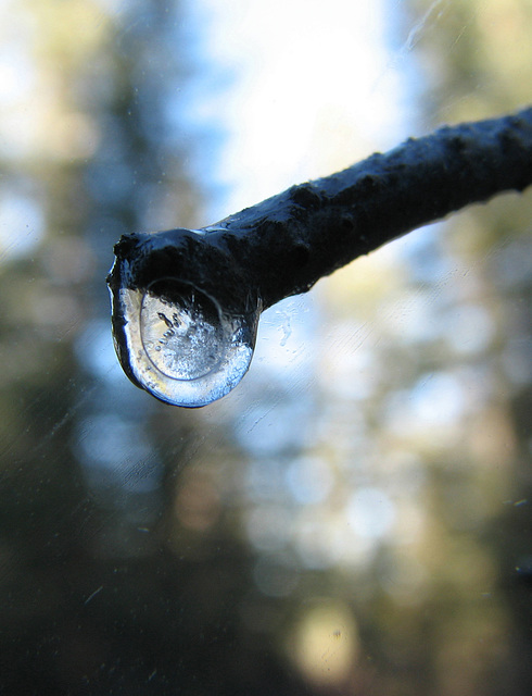 Frozen droplet