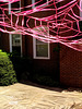 Pink Spider Web 1