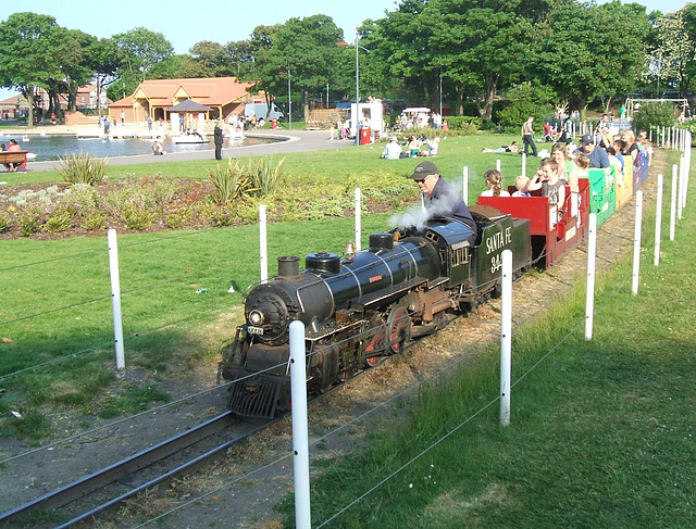 Miniature Train