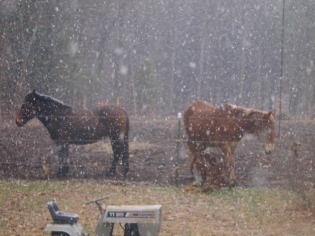 here comes the snow!