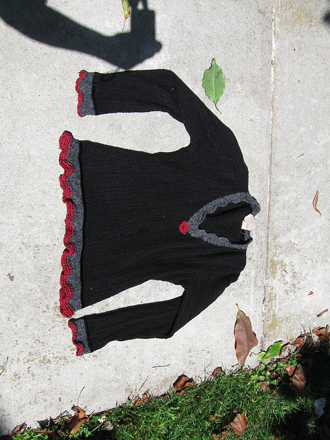Sweater with crocheted trim