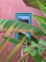 Hermosa Beach window