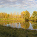 A local pond