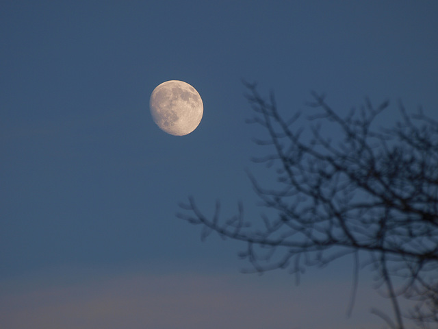 early evening moon