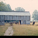 Barn in historic Cades Cove, Tennessee. 1974
