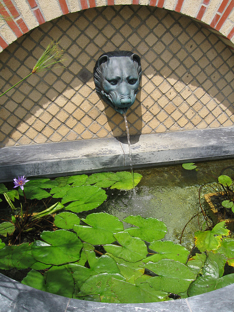 Fountain with lilypads, Getty Villa