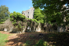 Brucklay Castle. Aberdeenshire (41)