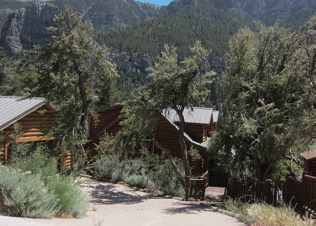 Mt Charleston NV (2876)