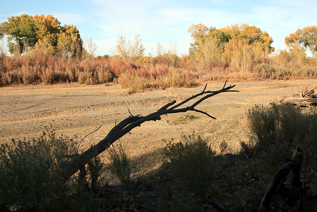 Carson River