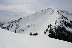 Silver Queen summit and Powder Bowl