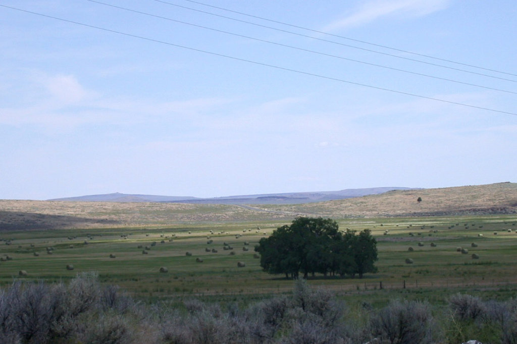 South Central Oregon (2506)