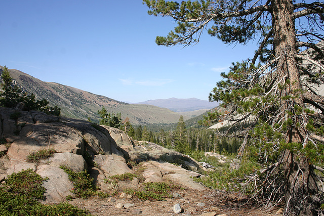 View out Green Creek.