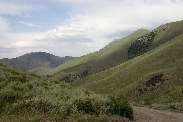 Upper Big Creek Canyon