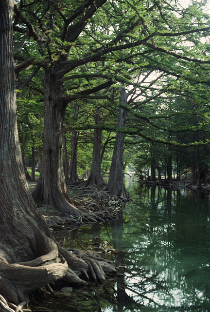 Rio Frio, Uvalde County, Texas