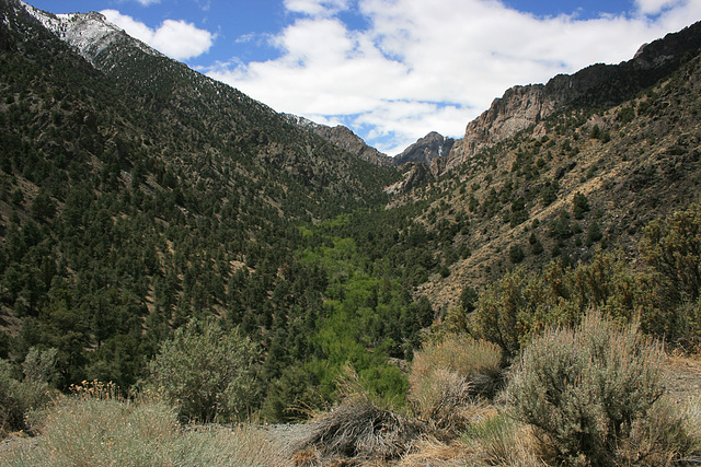 South Twin River Canyon