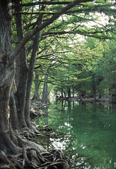 Rio Frio, Uvalde County, Texas