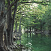 Rio Frio, Uvalde County, Texas