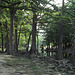 Rio Frio, Uvalde County, Texas