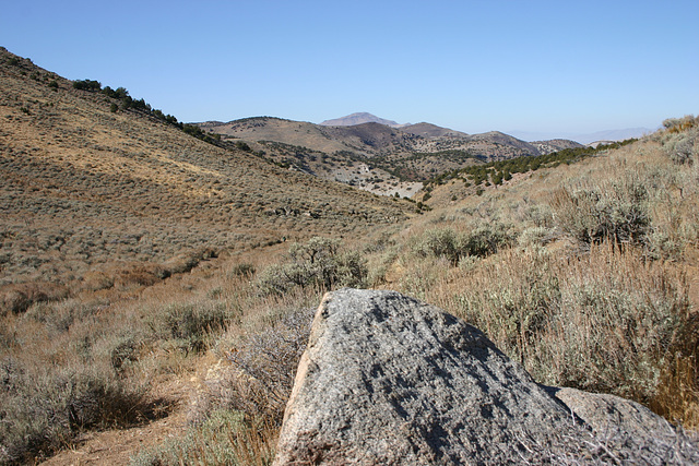 On the way to Dogskin Mountain