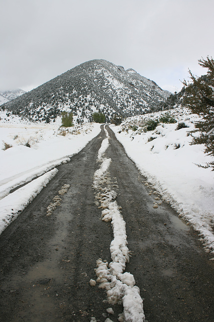 Snow in Kingston Canyon