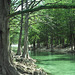 Rio Frio, Uvalde County, Texas