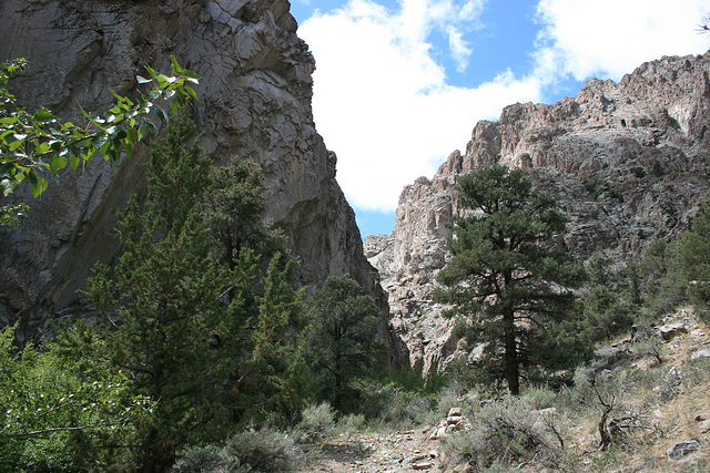 Canyon, South Twin River, Nevada.