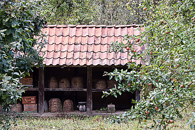 20121008 1456RAw Osnabrücker Hof, Bienenhaus