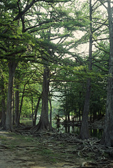 Rio Frio, Uvalde County, Texas