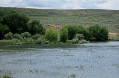 Thief Valley, OR 0920a