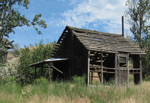 Wallowa Whitman NF, OR 0863a