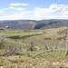 Descent to the Yampa Bench