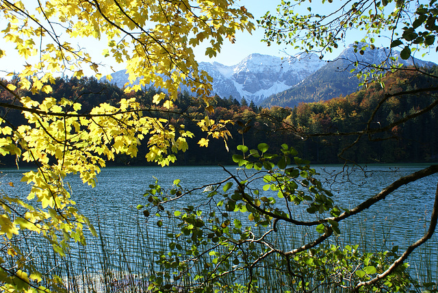 Es wird Herbst am Alatsee.  ©UdoSm