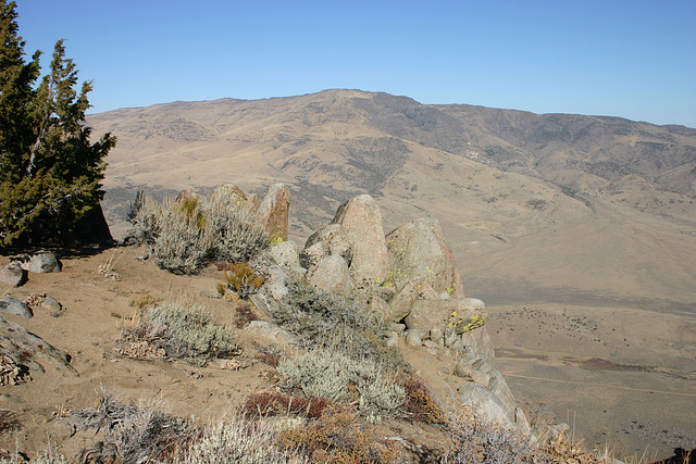 From Dogskin Mountain