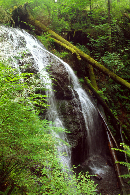 Orcas Island