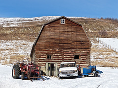 Life on the farm