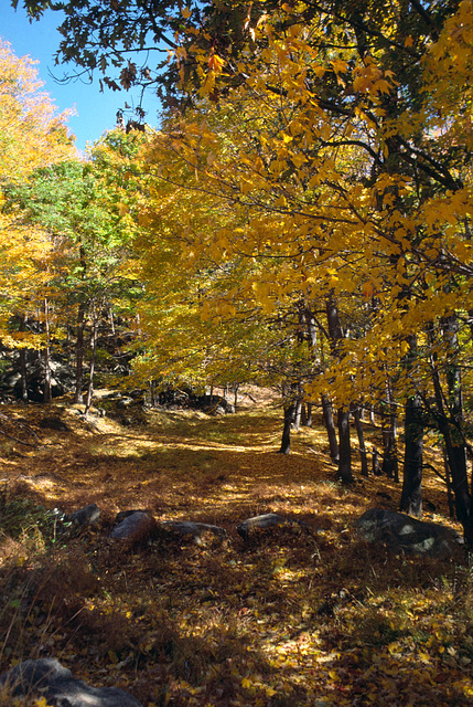 Stony Point State Park, New York