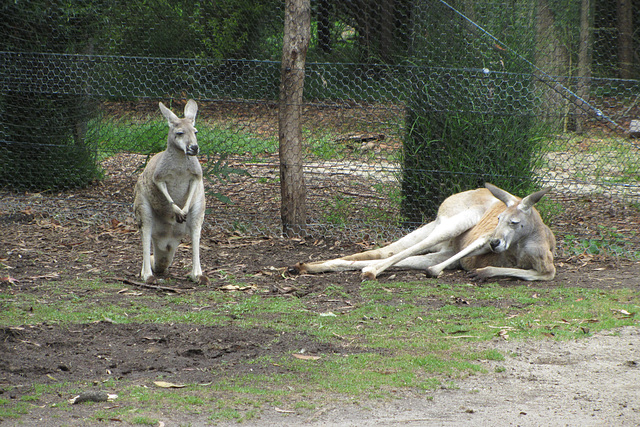 Melbourne, 13 Jan 2012