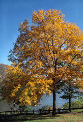 Stony Point State Park, New York