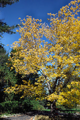 Stony Point State Park, New York