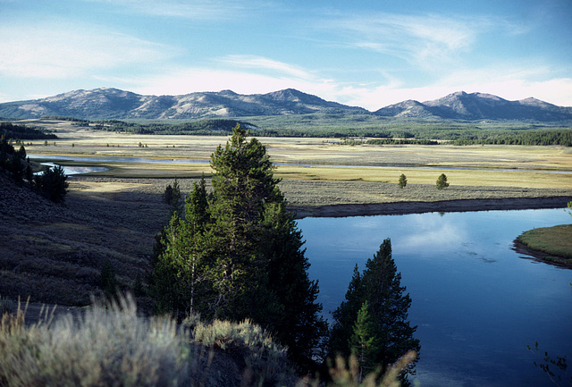 Hayden Valley, Yellowstone National Park