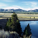 Hayden Valley, Yellowstone National Park