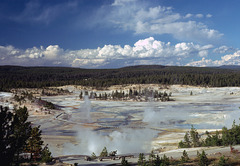 Porcelain Basin, Yellowstone National Park