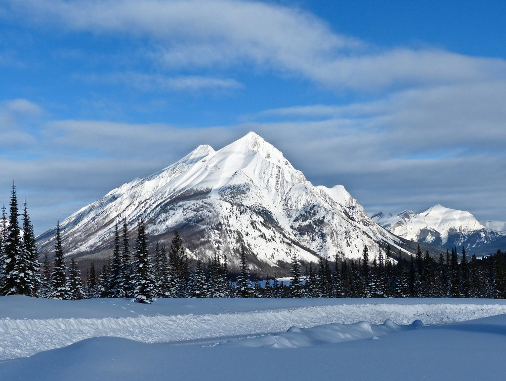 A view from Mt. Shark