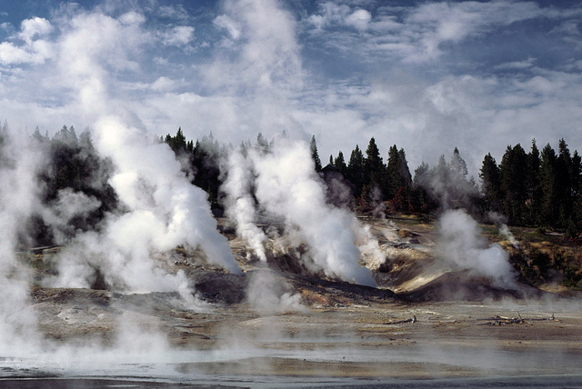 Norris Geyser Basin, Yellowstone National Park