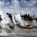 Norris Geyser Basin, Yellowstone National Park