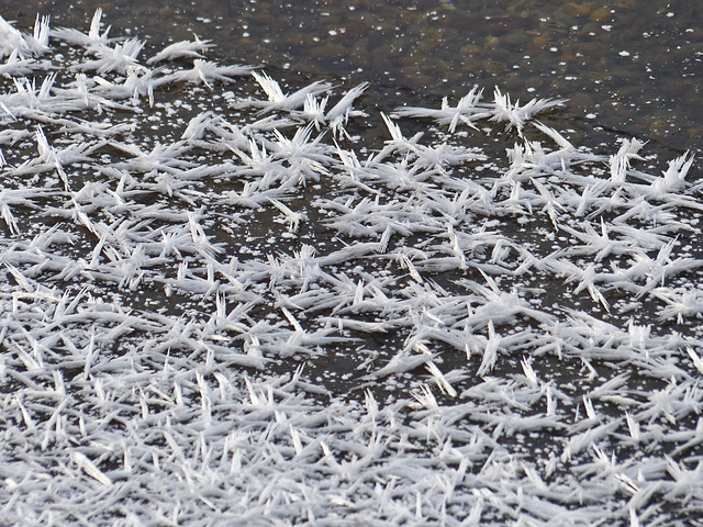 Fragile frost formation