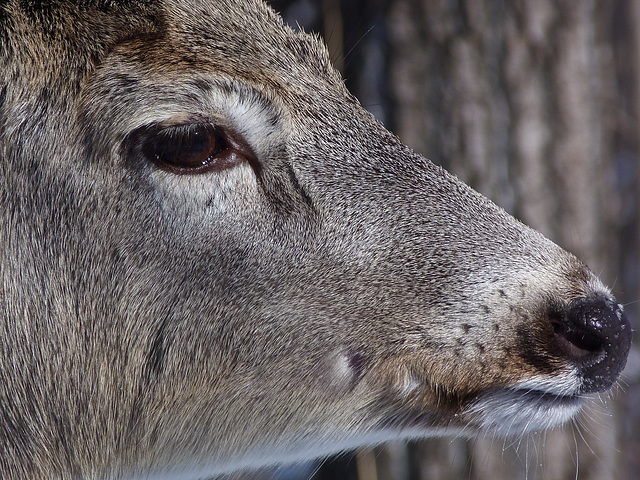 Up really close and personal Up really close and personal